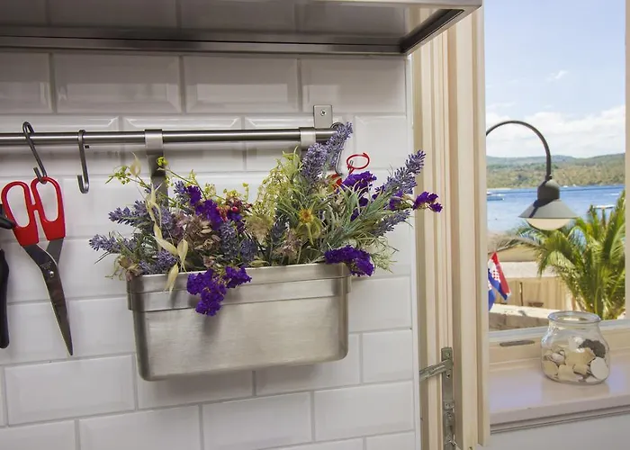 Stonehouse Popozo * 普利莫顿