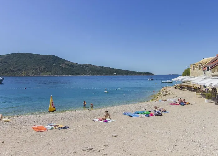 Stonehouse Popozo * 프리모스턴